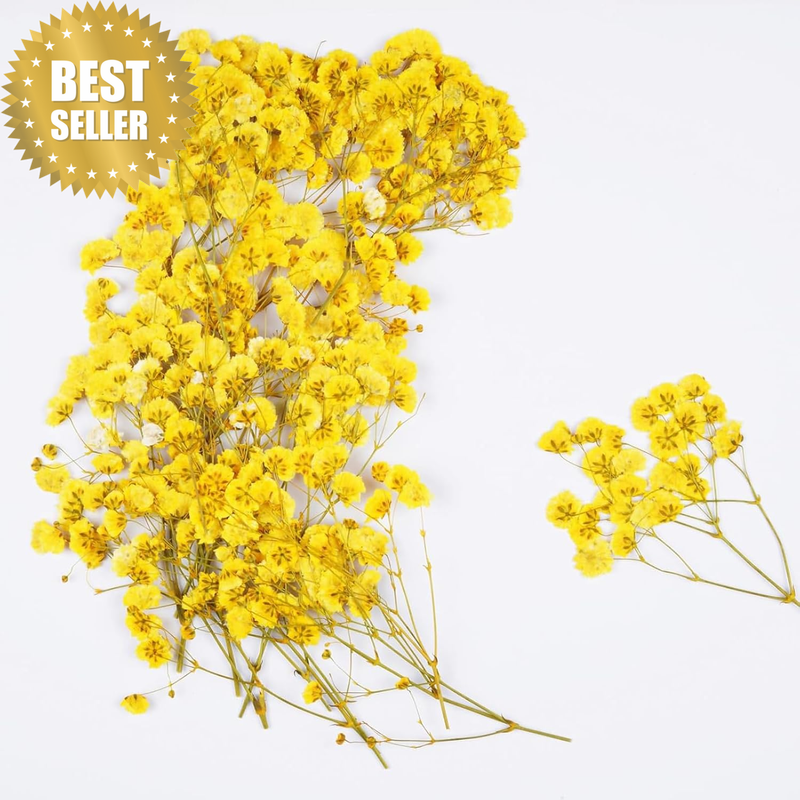 50Pcs Yellow Breath Dried Pressed Flowers for Crafts,Xinxinran Dry Flowers Kit f