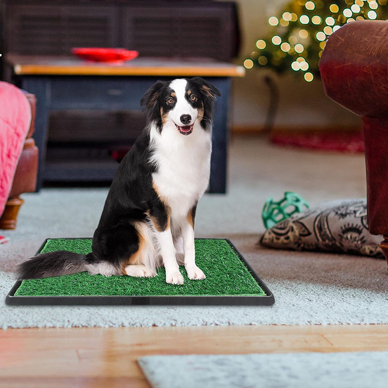 Dog Grass Pad with Tray Large Dog Litter Box with 2 Fake Pee