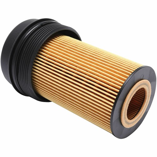 Filter & Cap Super Duty 6.0 6.4l Powerstroke Diesel 03-10
