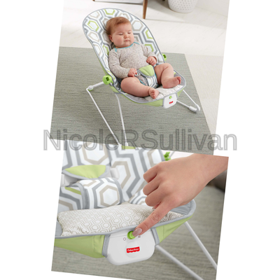 Fisher-Price Baby's Bouncer, Geo Meadow