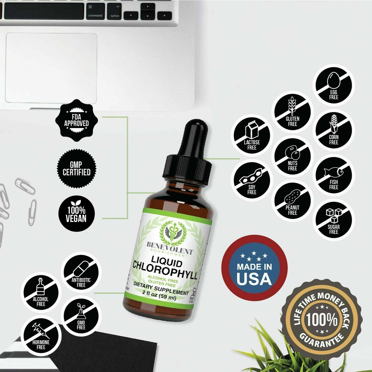 Benevolent Nourishment Chlorophyll Liquid Drops Energy Boost Immune Support 2oz