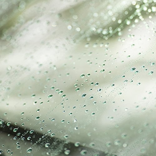 Rain-X 800002243 Glass Treatment- 7 fl oz.