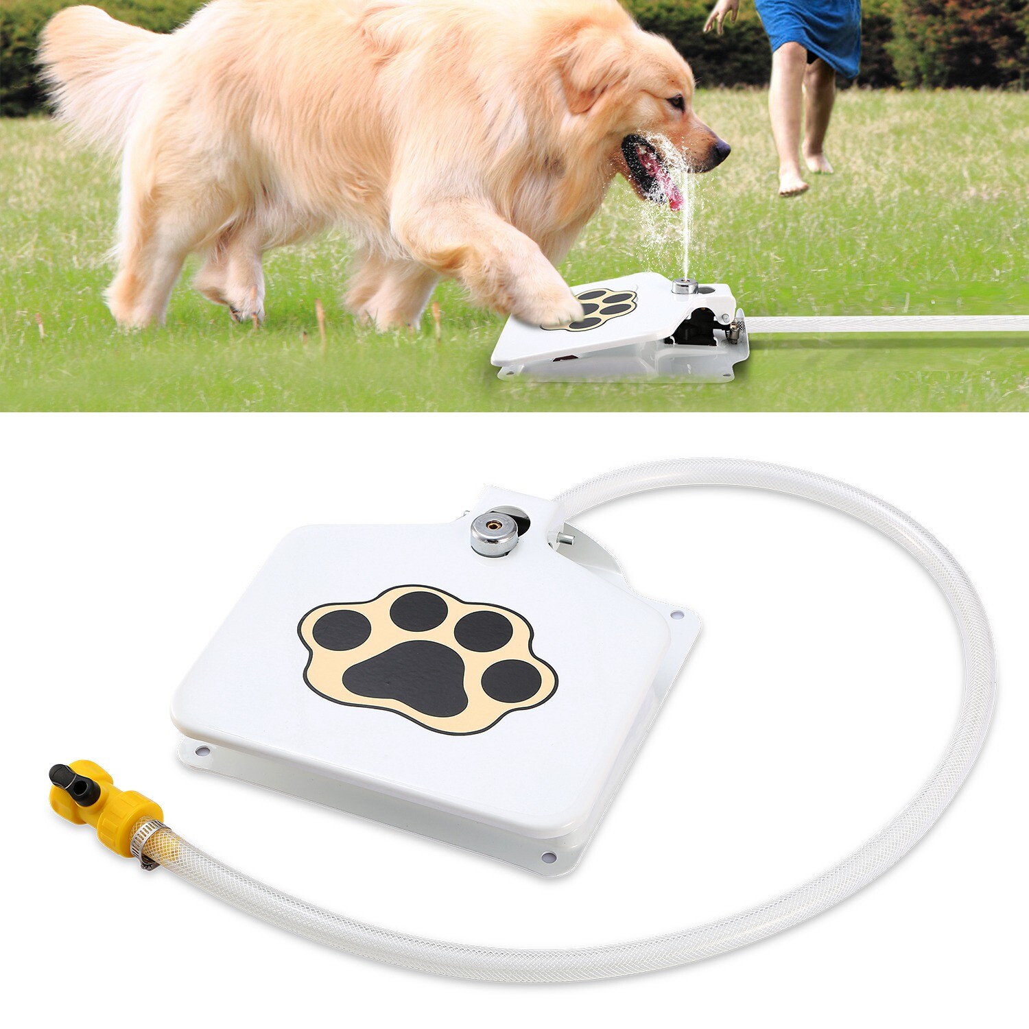 paw activated water fountain