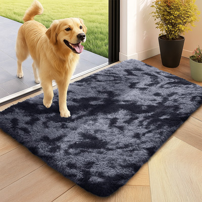Small Large Door Mat Non Slip Indoor Bedroom Door Floor Mat Hallway Runner Rug