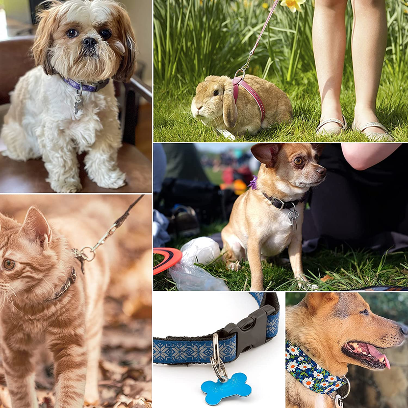 TISUR Titanium Car Key Rings,Heavy Duty D Ring Keychain Ring Keyring Keyfob Key 