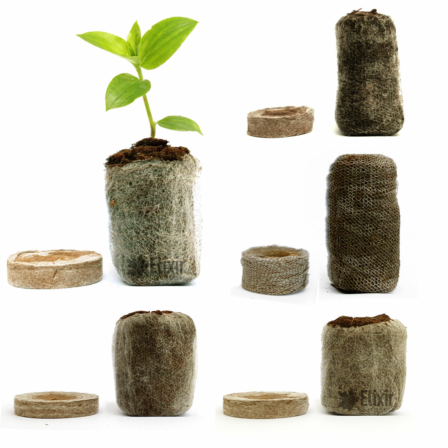 Jiffy Peat and Coir Propagation Pellets Seed Germination