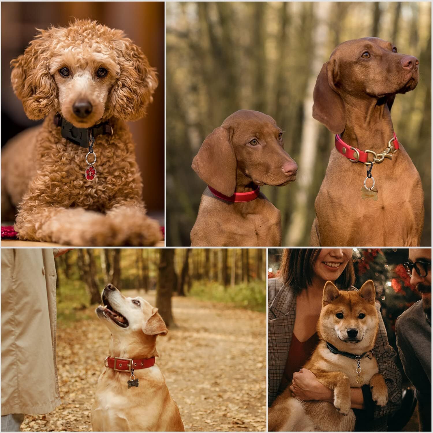 10/20/30x Aluminum Mini Spring Carabiner Clip Keychain Snap Outdoor Camping Hook