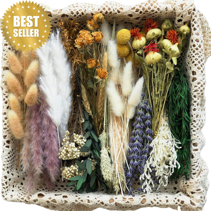 Natural Dried Flower Set – Mini Dried Flowers Bulk, 16 Varieties Dried Florals w