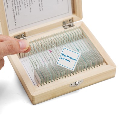 25 Mikroskop-Dauerpräparate von SWIFT Optical