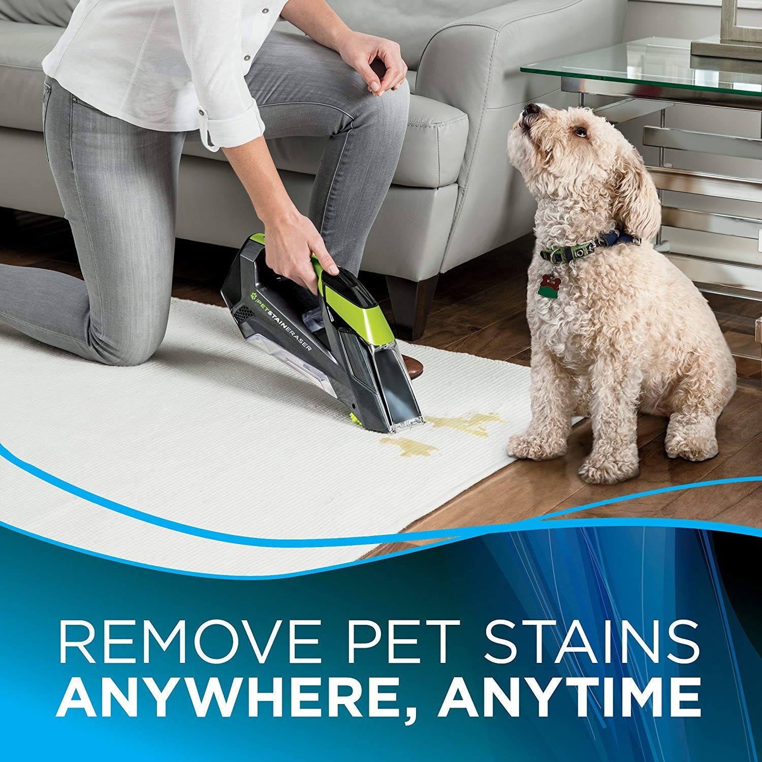 Portable Carpet Cleaner Cordless Pet Stain Remover Eraser Rug Machine Handheld