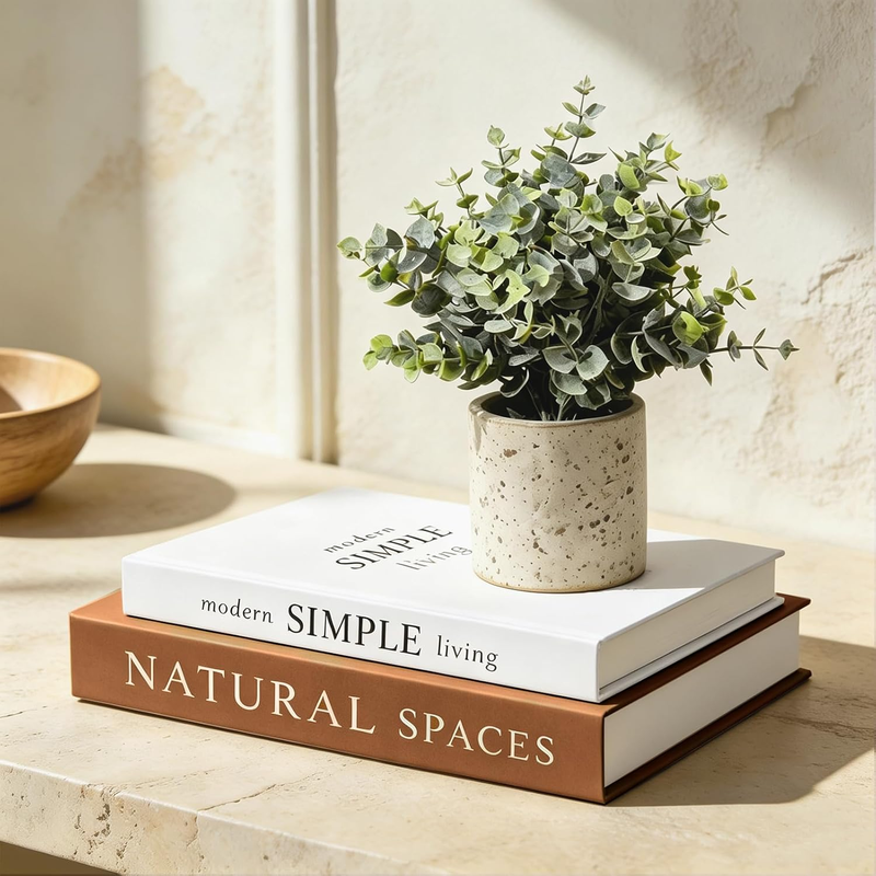 Aesthetic Decorative Books for Home Decor