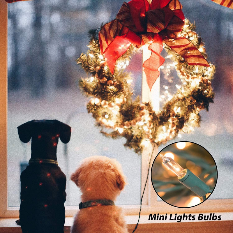 Clear Christmas String Lights 100 Count 25Ft Incandescent Bulb Mini Lights for I