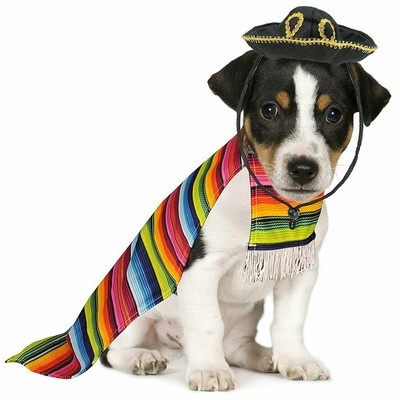 Best gifts ideas and gift inspiration for woman and man pets