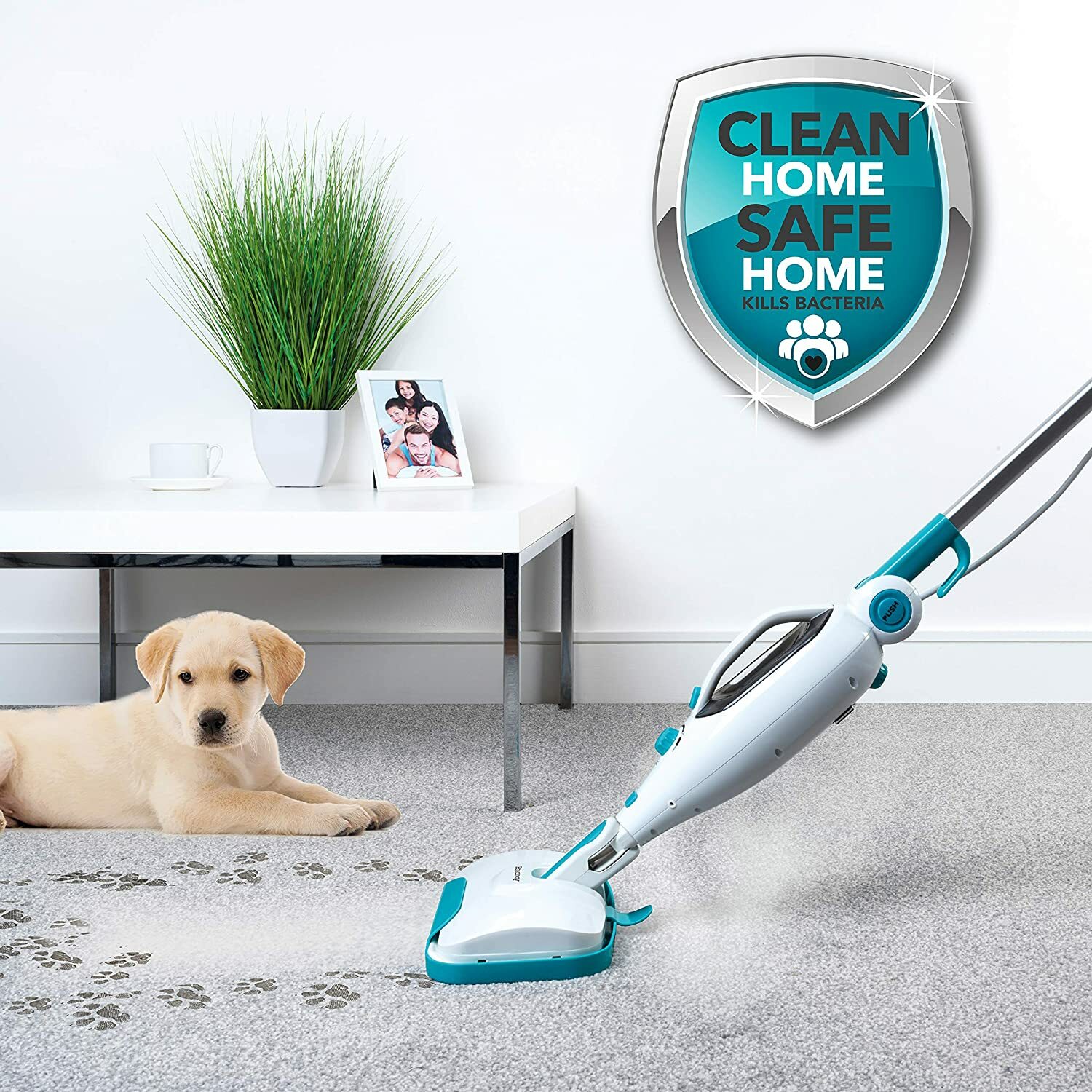12 in 1 Flexi Steam Mop Multi Cleaner Carpet Hard Floors Upholstery