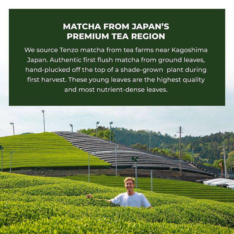 Tenzo Matcha Green Tea Powder - Matcha Powder USDA Organic Premium Grade - Authe