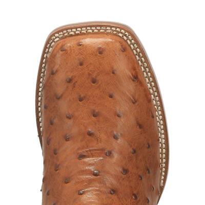Pre-owned Dan Post Alamosa Quill Ostrich Boot Dp4874 In Bay Apache
