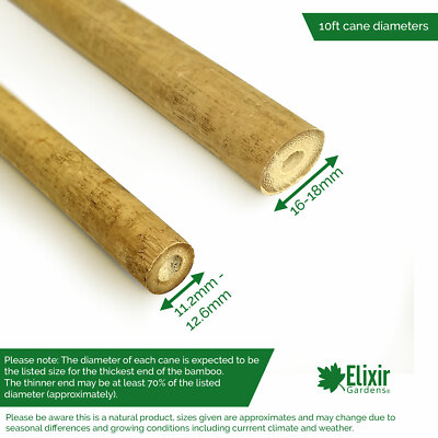 Strong Heavy Duty Professional Bamboo Plant Support Garden Canes | 2ft - 10ft