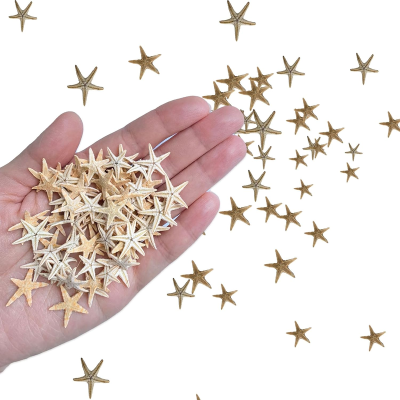 100 PCS Natural Small Starfish for Crafts, 0.5" to 1", Perfect for Wedding Beach