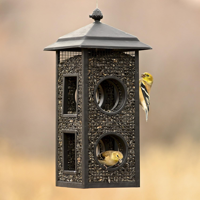 B00303 Fly-Through Wild Bird Feeder, 1 Pack, Black