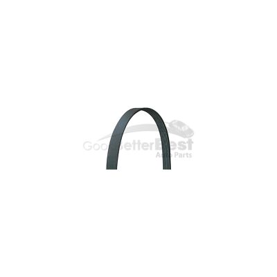 One New Drive Rite Serpentine Belt 5060875DR 1387692