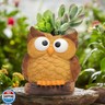 Unique Succulent Small Planter Pot, Cute Indoor Flowerpot Animal Succulent Plant Pot Holder, Adorable Pen Holder, Novelty Bonsai Flower Pot Ideal Gifts, Lovely Room Home Decor Office Desk