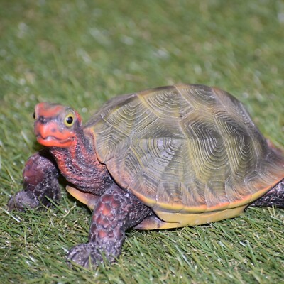 Clearance-Small Japanese Land Turtle Tortoise Home Decor Garden Statue Reptile