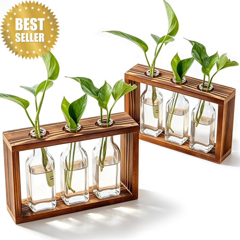 2 Pcs Plant Propagation Station with Vase, Desktop Ornament