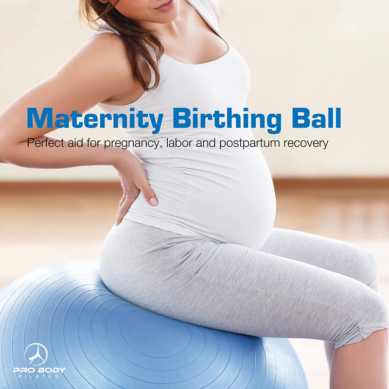 25.59 inch Exercise Ball Yoga Ball, Stability Ball Chair, Large Gym Grade W/Pump