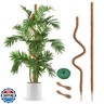 2 Pack Moss Pole, 63 Inch Bendable Moss Poles for Plants Monstera Long for Climbing Plants, Extra Large Handmade Pole Plant Sticks Support Stakes for Indoor Plants to Grow Upwards
