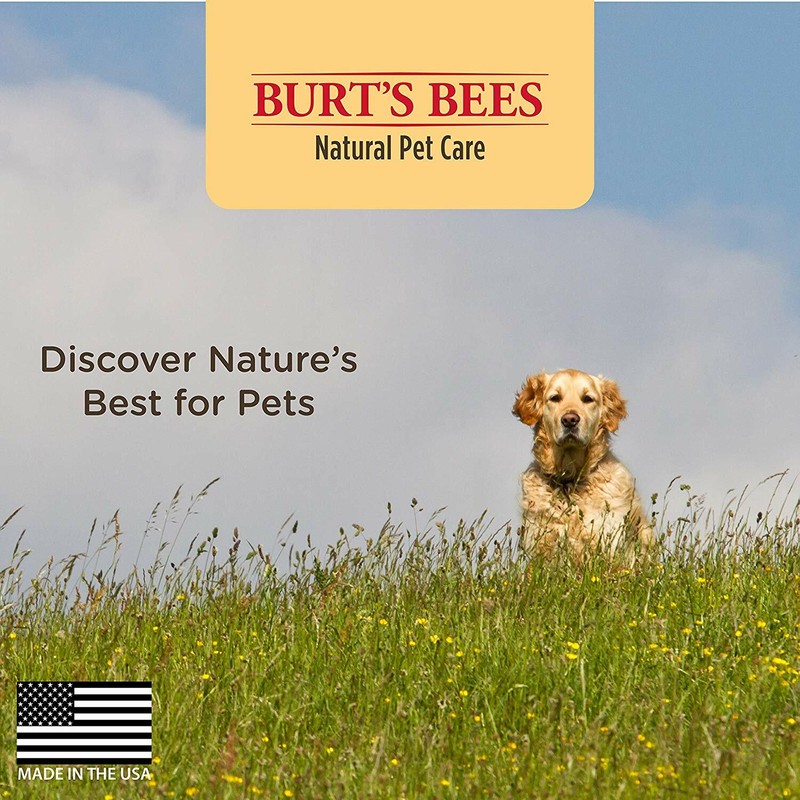Burt's Bees for Dogs Natural Oatmeal Shampoo with Colloidal Oat Flour and Honey|