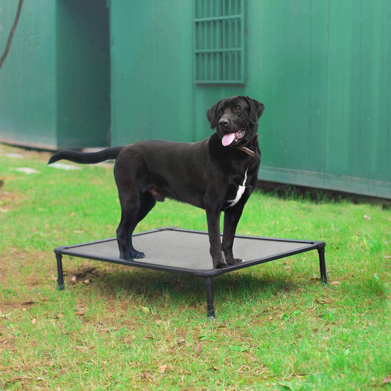 Chew Proof Elevated Dog Bed - Cooling Raised Pet Cot - Rustless Aluminum Frame a