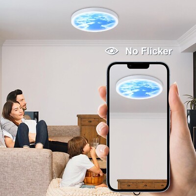 4 Pack 12 Inch LED Flush Mount Ceiling Light, 28W 120V 3200Lm 6000K Clouds, Sky