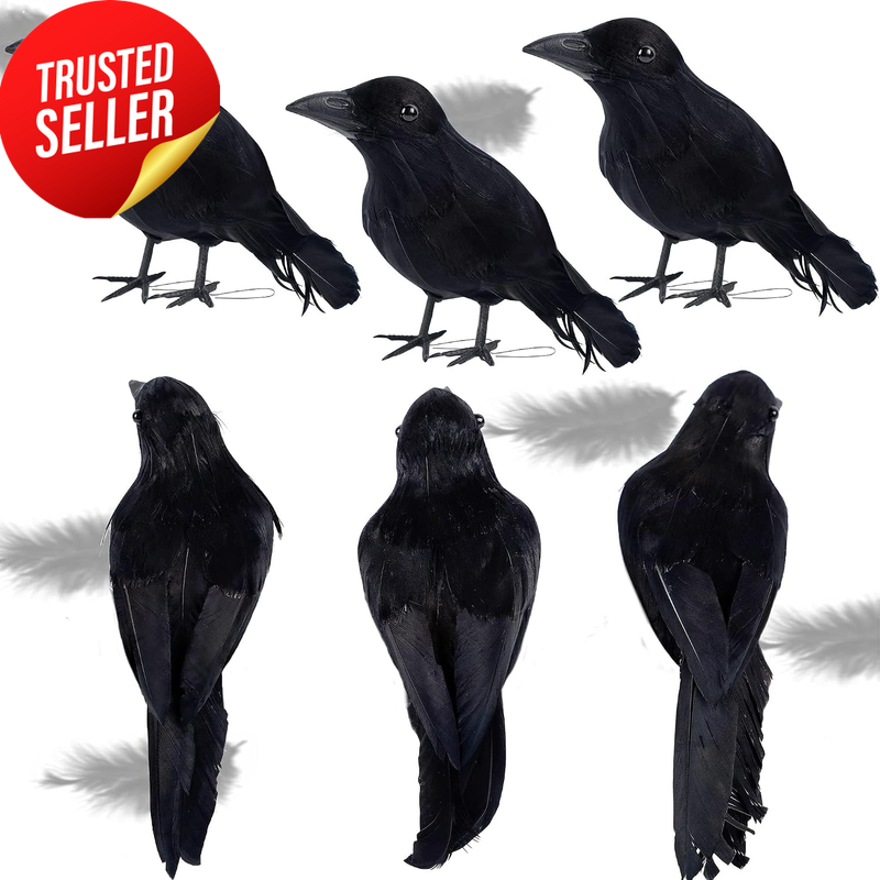Halloween Black Crow Decoration 6Pcs Feathered Realistic Raven Bird