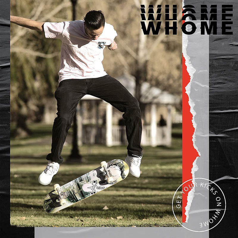 WHOME NEW Skateboard Complete 31 x 8 Concave Double Kick Maple Deck Silver-Skull