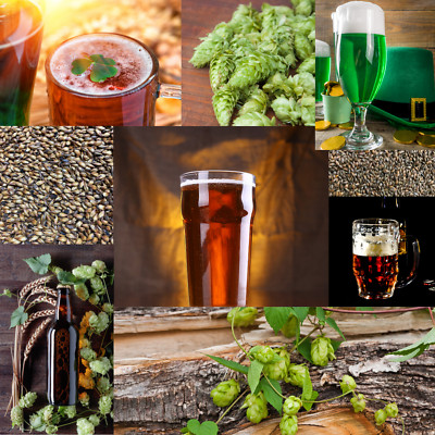 IRISH RED ALE Extract Beer Brewing recipe Homebrew kit Malt hops & grains