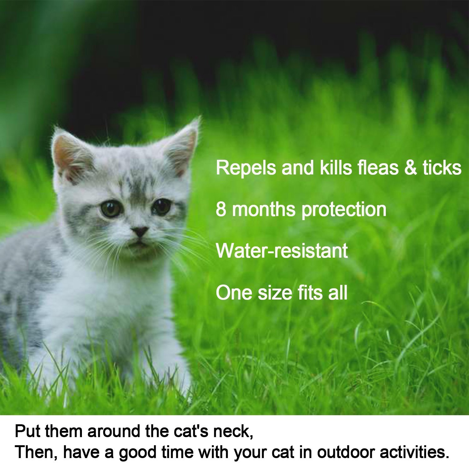 2 X Cat Flea And Tick Collar For Cat 8 Weeks Or Over 8 Months Same As Seresto