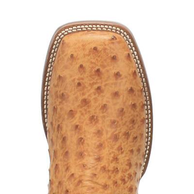 Pre-owned Dan Post Men's Kershaw Full Quill Ostrich Boot Dp4951 In Brown