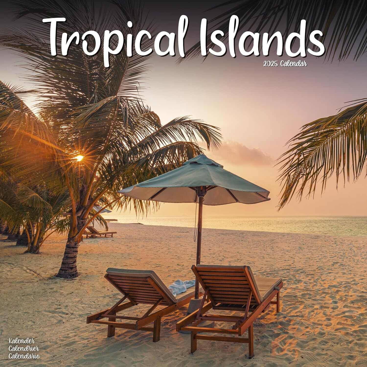 Tropical Islands - 2025 CALENDAR - BRAND NEW - 604939 | eBay