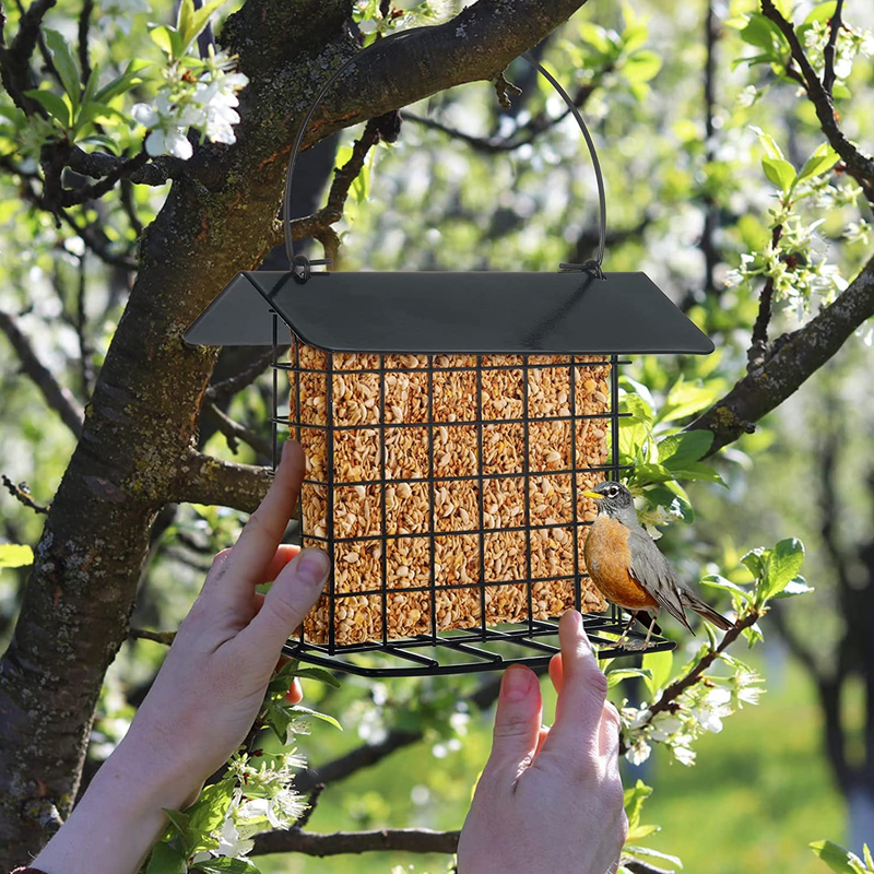 Bird Feeders for outside Wild Birds, Bird Feeders Squirrel Proof for Outside, Bi