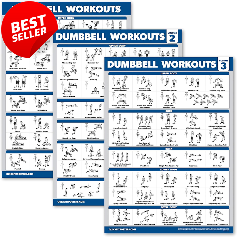 Dumbbell Workout Posters 3 Pack Laminated 18x24 Home Gym Charts Vol 1 2 3 - US