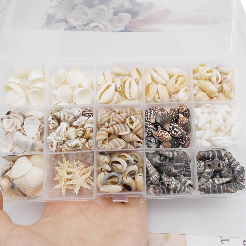 1 Box 400pcs Small Tiny Sea Shells Mixed 0.7"-1.2" Beach Natural Seashell for DI