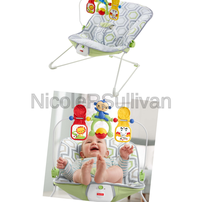 Fisher-Price Baby's Bouncer, Geo Meadow