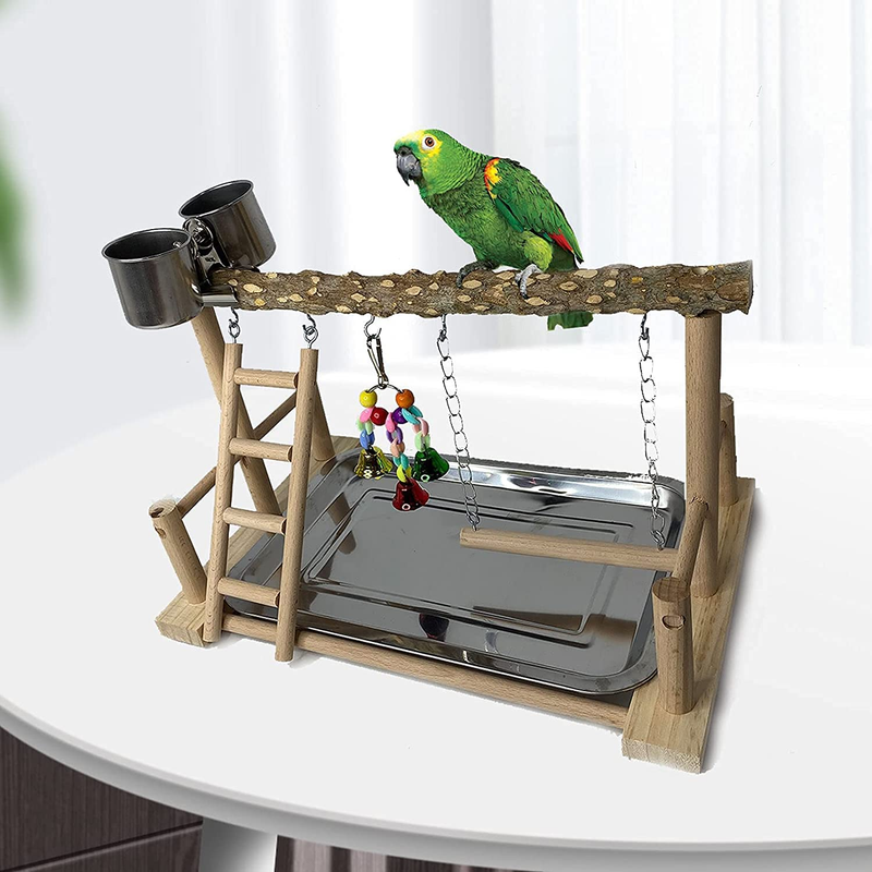 Bird Playground Stand with Feeder Seed Cups, Ladder, Chew Toys