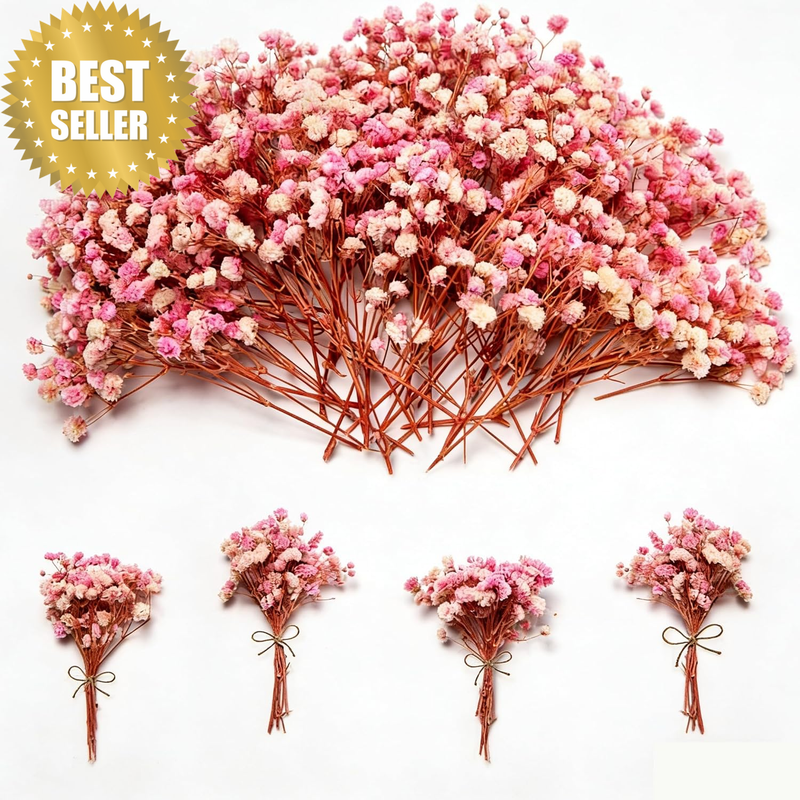 1500+ Mini Pink Dried Babys Breath Flowers, 50Pcs Baby Breath Bouquet, 6'' Natur