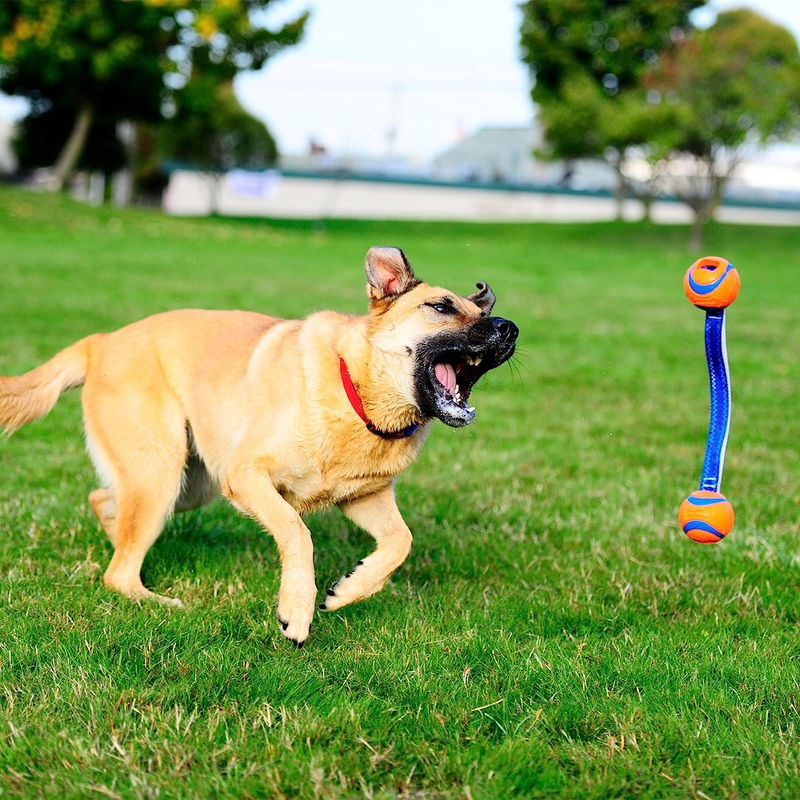Ultra Duo Dog Tug Toy, Small Indoor and Outdoor Dog Toy