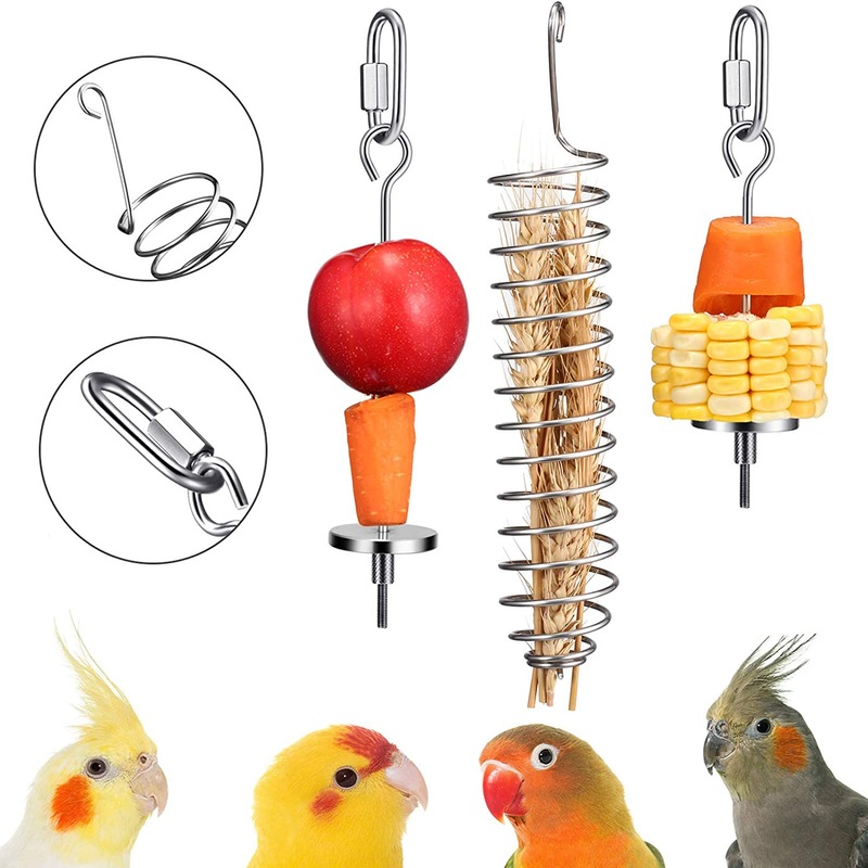 Holder Stainless Steel Parrot Hanging Vegetable Fruit Feeder