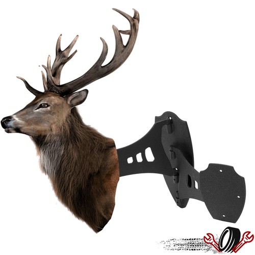 Дисплей Trophy Skull Hooker Bracket Game с двойным плечевым креплением и 8-дюймовым поворотным рычагом