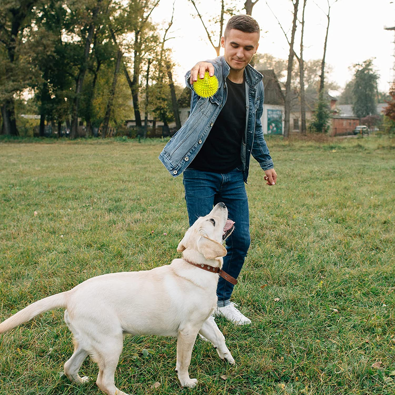 3.5&rdquo; Squeaky Dog Toy Balls (6 Colors) Puppy Chew Toys for Teething, BPA Free Non