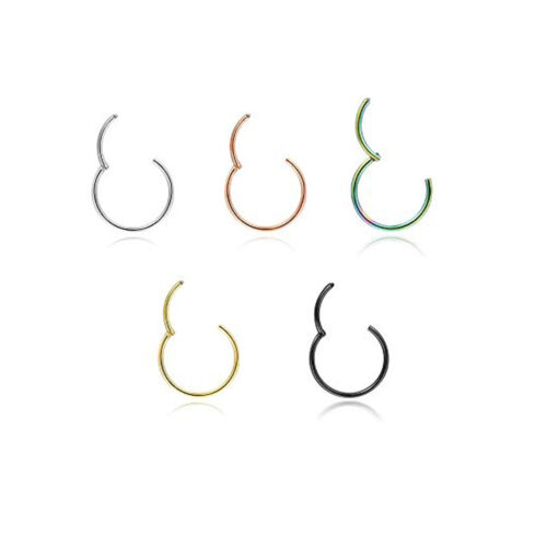 5 Pcs 20g 18g 16g Nose Rings Hoop Surgical Steel Earrings Tragus Septum Rings