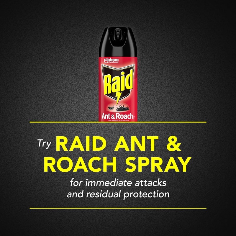 Raid® Ant & Roach Killer 26, Fragrance-Free Bug Spray, 17.5 fl. oz. 2 count. New